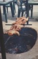 /album/fotogaleria/img019-jpg/
